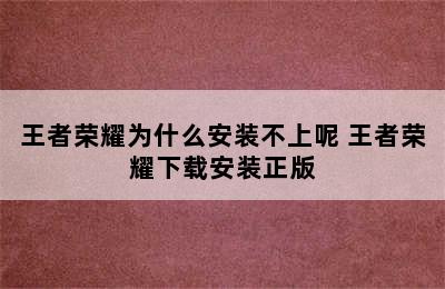 王者荣耀为什么安装不上呢 王者荣耀下载安装正版